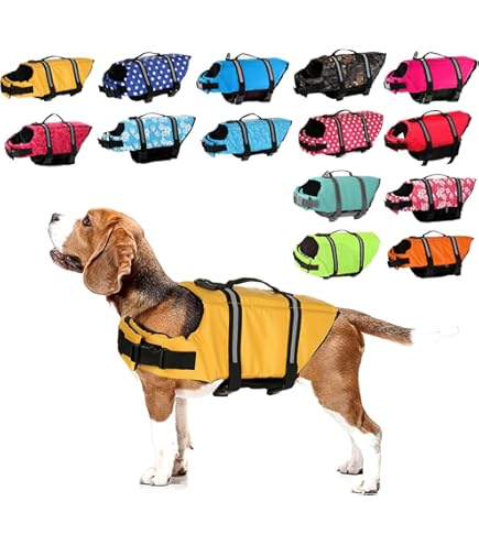 Amazon | EZYDOG(イージードッグ) [正規代理店品] DFDマイクロ レッド